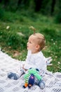 Little girl sitting on a blanket on a green meadow among soft toys Royalty Free Stock Photo