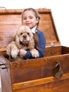 Little girl sitting in a box with a dog Royalty Free Stock Photo