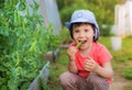 Little girl sitting eating fresh green peas on the garden in the garden. Useful baby food. Royalty Free Stock Photo