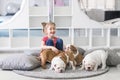 Little girl sitting on the floor and takes care of the puppies bulldog Royalty Free Stock Photo