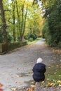 Little girl sitting on a footpath in the park in autumn