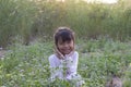 Little girl sitting in the meadow in the evening. Royalty Free Stock Photo