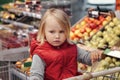 Little girl sitting in shopping cart in food fruit store or supermarket Royalty Free Stock Photo