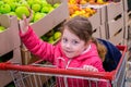 A little girl sitting in a trolley buys apples in a supermarket. The child purchases apples