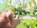 Little girl smelling blooming tree. Happy child enjoying nature outdoors. A  child in the garden sniffs flower of bird cherry Royalty Free Stock Photo