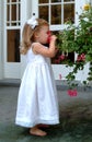 Little Girl Smelling Flower Royalty Free Stock Photo