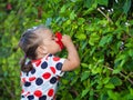 Little girl smelling a flower