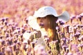 Little girl smelling a flower tansy phacelia on a summer evening Royalty Free Stock Photo