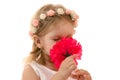 Little girl smelling a flower on white Royalty Free Stock Photo