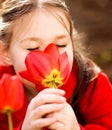 Little girl smelling flowers outdoors Royalty Free Stock Photo