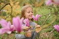 A little girl smelling a pink magnolia Royalty Free Stock Photo