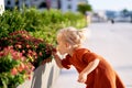 Little girl is smelling red flowers in a park on a sunny day Royalty Free Stock Photo