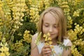 Little girl smelling yellow wildflowers Royalty Free Stock Photo