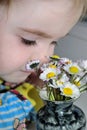 The little girl smells flowers Royalty Free Stock Photo