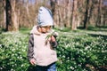 Little girl smells white anemone flowers in the forest Royalty Free Stock Photo