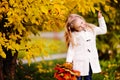 Little girl smiling at autumn park