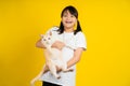 Little girl smiling and happy, She is holding a cat in a studio isolated on yellow background