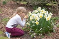 Little girl is sniffing narcissus flower in a park in spring Royalty Free Stock Photo