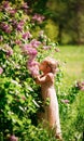 Little girl sniffs lilac bushes. blooming gardens