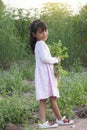 Little girl stand holding a bouquet of purple grass flowers in the meadow. Royalty Free Stock Photo