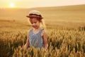 Little girl standing on the agricultural field at evening time. Conception of summer free time