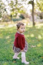 Little girl is standing on the green grass in the garden, looking interestedly to the side Royalty Free Stock Photo