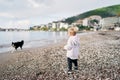 Little girl stands on the beach and looks at a dog running along the sea. Back view Royalty Free Stock Photo