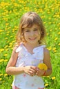 Little girl stands on field and holds dandelions