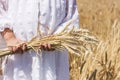 Little girl stands on golden wheat field and holds wheat ears in her hands at summer sunny day. Royalty Free Stock Photo