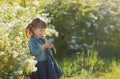 A little girl stands near the bush Royalty Free Stock Photo