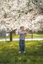 Little girl stands under a blooming apple tree. The wind blows and flower petals fly like snow in Prague park, Europe Royalty Free Stock Photo