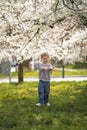 Little girl stands under a blooming apple tree. The wind blows and flower petals fly like snow in Prague park, Europe Royalty Free Stock Photo