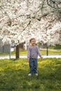 Little girl stands under a blooming apple tree. The wind blows and flower petals fly like snow in Prague park, Europe Royalty Free Stock Photo