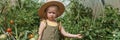 A little girl in a straw hat is picking tomatoes in a greenhouse. Harvest concept.