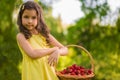 Little girl with strawberries Royalty Free Stock Photo