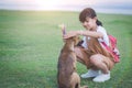 The little girl is stroking her dog with gently and friendly, sh Royalty Free Stock Photo