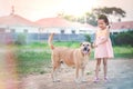 The little girl is stroking her dog with gently and friendly, showing love and care of pet Royalty Free Stock Photo