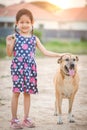 The little girl is stroking her dog with gently and friendly, showing love and care of pet Royalty Free Stock Photo