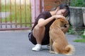 The little girl is stroking her dog with gently and friendly, showing love and care of pet Royalty Free Stock Photo