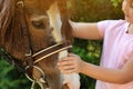 Little girl stroking her pony in green park Royalty Free Stock Photo