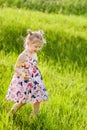 A little girl in summer dress with pigtails in a green field