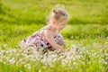 Happy little girl in summer dress with pigtails in a green field of summer grass with flowers Royalty Free Stock Photo