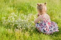 little girl in summer dress with pigtails in a green field of summer grass with flowers Royalty Free Stock Photo