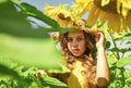 little girl in sunflower field. yellow flower of sunflower. happy childhood. beautiful girl wear straw summer hat in Royalty Free Stock Photo