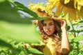 little girl in sunflower field. yellow flower of sunflower. happy childhood. beautiful girl wear straw summer hat in Royalty Free Stock Photo