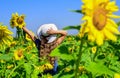 Little girl in sunflower field. yellow flower of sunflower. happy childhood. beautiful girl wear straw summer hat in Royalty Free Stock Photo