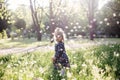 Dandelions sunset child. Royalty Free Stock Photo