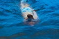 little girl swims in summer under water in the ocean, view from above Royalty Free Stock Photo