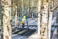 Little girl swinging on a swing in a city Park in winter on a background of birch trunks