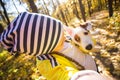 Little girl taking selfie with her dog at autumn park. Child posing with jack russell terrier for a picture on the Royalty Free Stock Photo